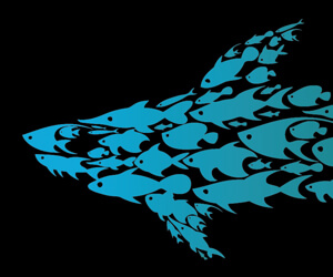 apparel - school shark t-shirt design