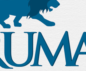 logo - brumax construction logo