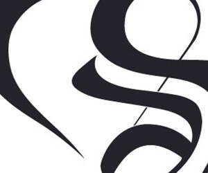 logo - heart and soul