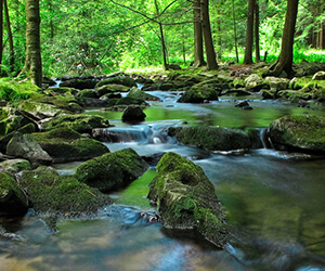 photo - pa mountain stream