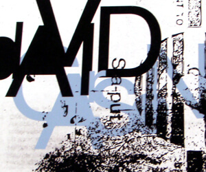 print - david carson book cover