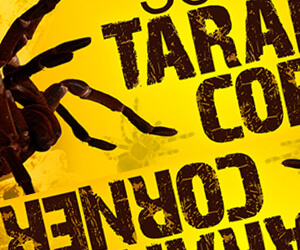 print - scorpion & tarantula sign