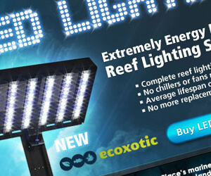 advertising - led reef lighting