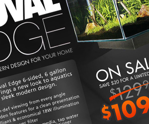 advertising - fluval edge nano tank