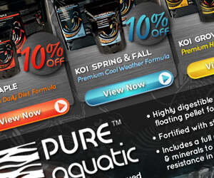 advertising - pure aquatic koi food