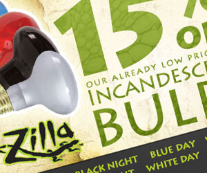 advertising - incandescent bulbs